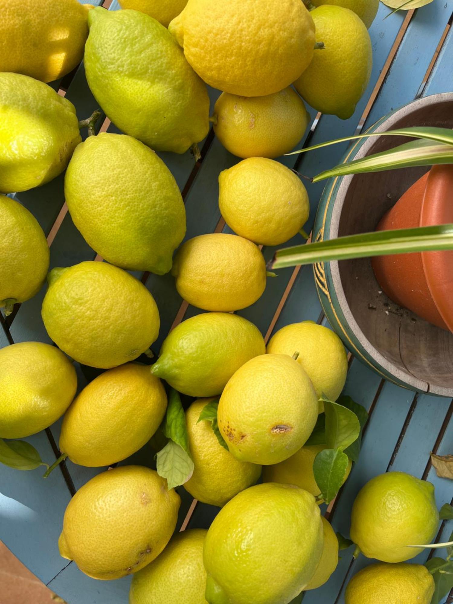 埃希哈El Patio Del Limonero别墅 外观 照片